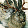 images/avatars/avatar-1322.jpg